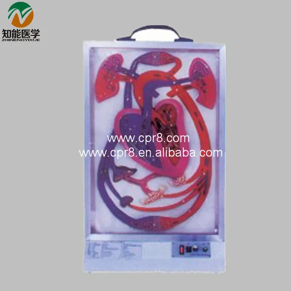 BIX A1078 Electric Heart Beat и модель циркуляции крови MQ210|blood circulation model|heart modelblood heart |