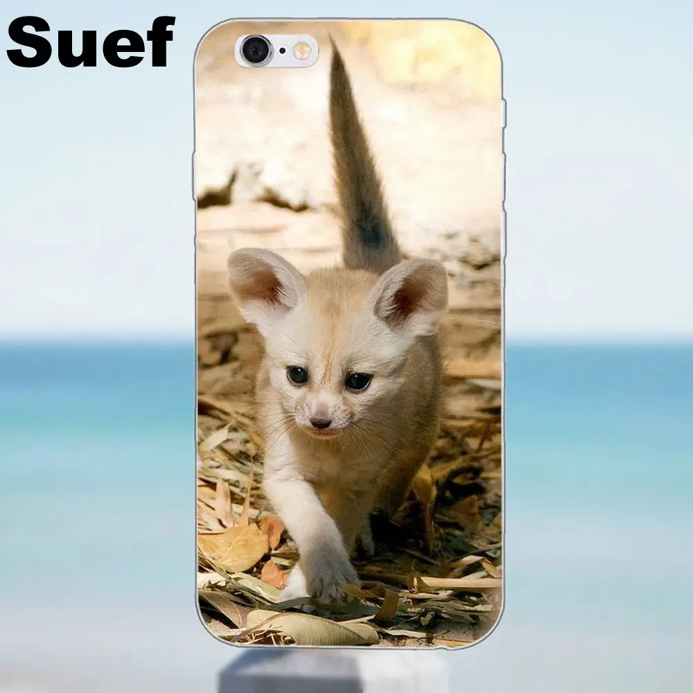 Суэф фенек Мягкий ТПУ арт обложка чехол для iPhone 4 4S 5 5S 5C SE 6 6 S 7 8 Plus iPhone X Galaxy J1 J3 J5 J7 A3 A5 - Цвет: as picture