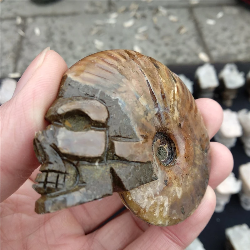 DHX SW натуральный аммонит раковины fossil ручной резной череп Healing драгоценный камень minarel образцы резьба Прохладный Череп