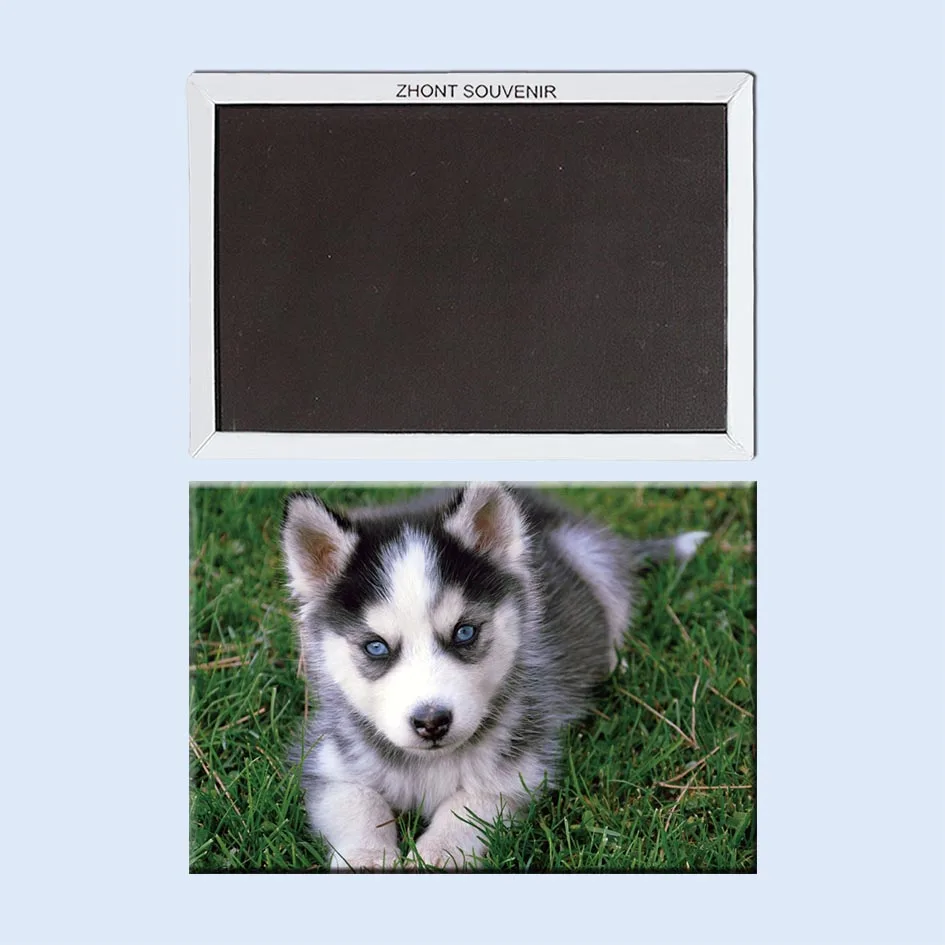 Телефон с голубыми глазами и надписью Dog сувенирные магниты для холодильника