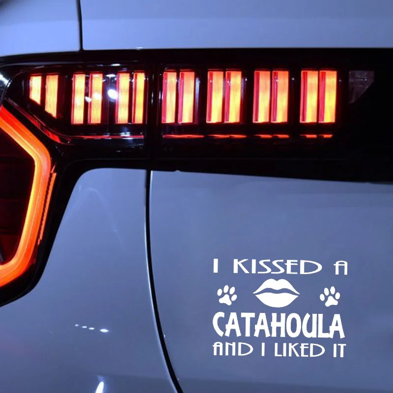 YJZT 14 см * 10 автомобильная наклейка я поцеловал CATAHOULA и мне понравилась виниловая