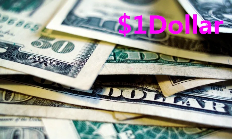 Pedido adicional de 1 d&oacute;lar-0