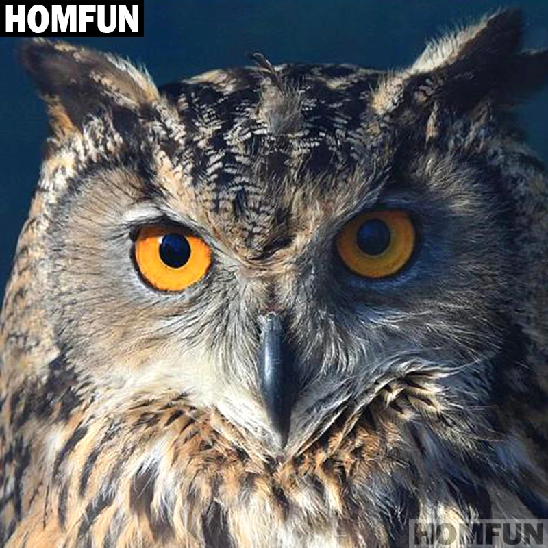 Алмазная живопись HOMFUN A01626 полноразмерная/круглая вышивка животное сова 5D сделай