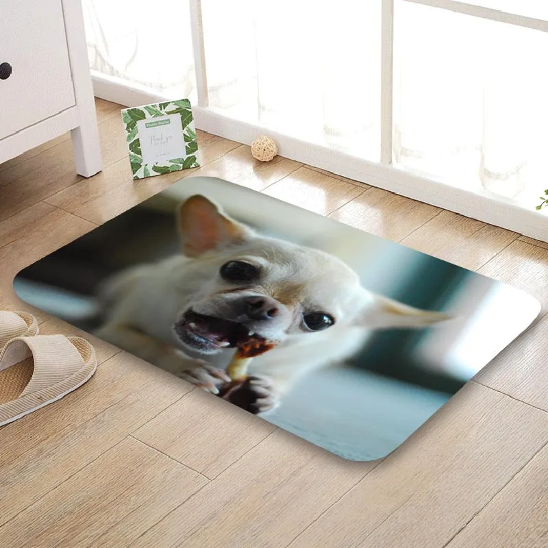 Приятный напольный коврик Чихуахуа для улицы домашний креативный супермягкий
