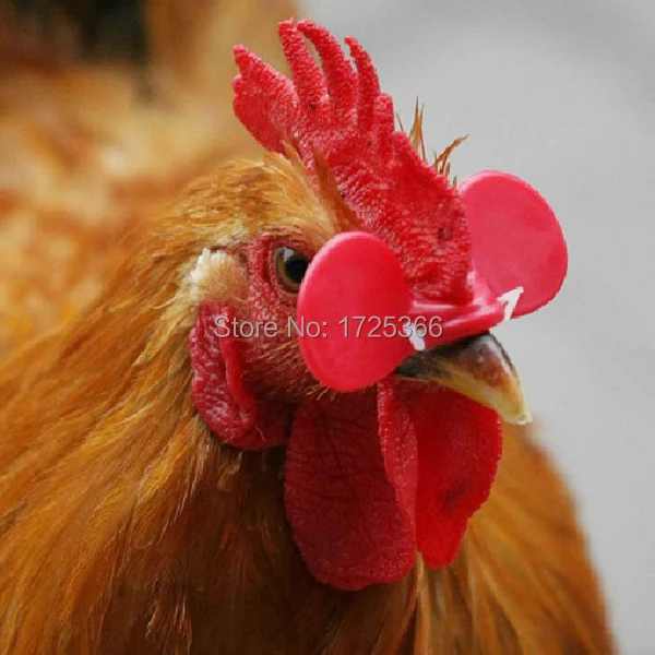 Free shipping!Factory Sales Directly Retail chicken glasses poultry nipple | Дом и сад