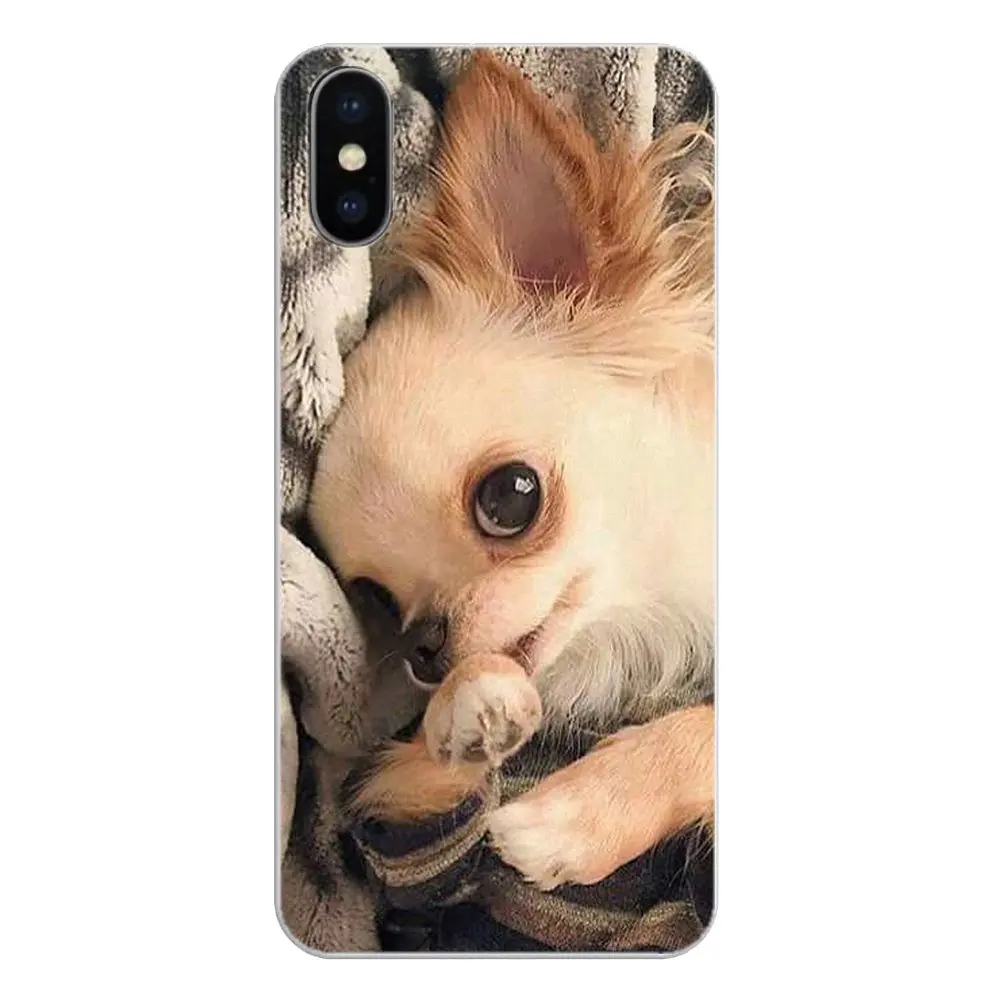 Чихуахуа собака щенок для Huawei P20 Lite Nova 2i 3i 3 GR3 Y6 Pro Y7 Y8 Y9 Prime 2018 2019 силиконовый чехол