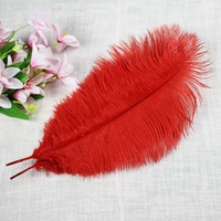 wholesale 500pcs natural red ostrich feathers 20 25 cm 8 10 inches feathers wedding decoration plume