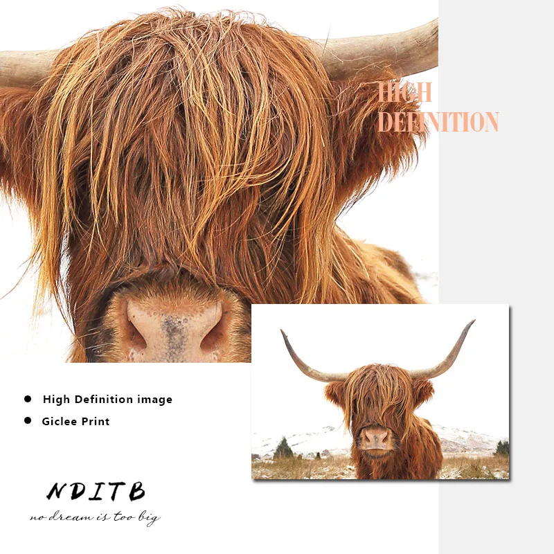 Highland постер на холсте коровы и принт животных в скандинавском стиле живопись