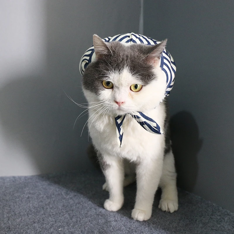 Mum Dad I Will Run Away From Home! Cat Scarf Supplies Lovely Collar Costumes Cats Dog Products Neck Gaiter for Kitten Shiba Inu | Дом и сад