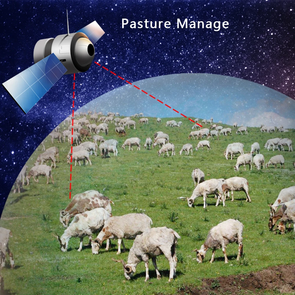 Gps трекер для домашних животных с ошейником мини Водонепроницаемый для домашних животных кошка корова монитор для собаки gps отслеживающее устройство с бесплатной платформой IOS android