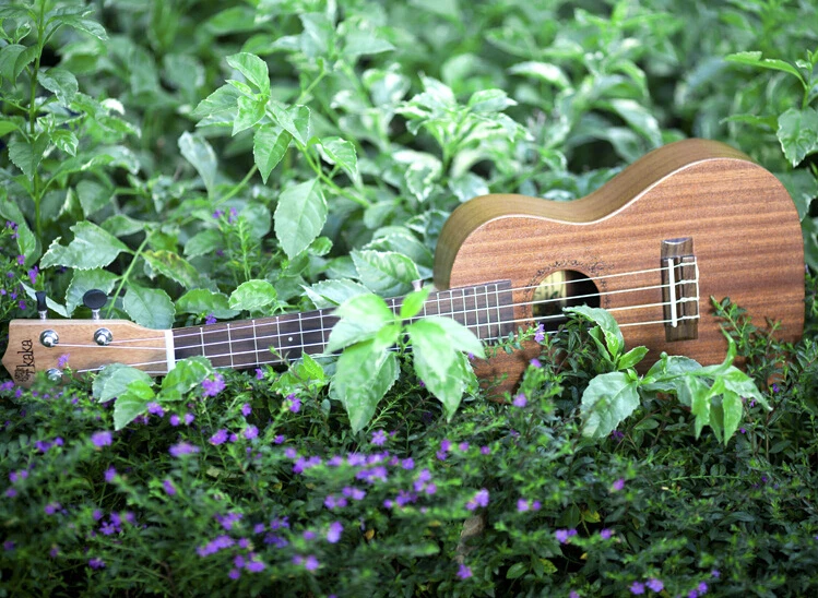 Бесплатная доставка акустическая guitars 23 дюймов укулеле гавайская гитара Гавайи