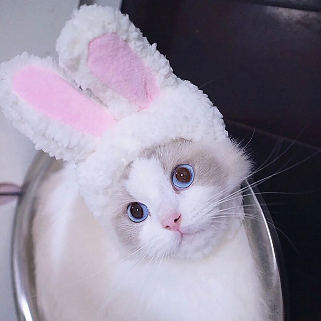Cat Bunny Rabbit Ears Hat Pet Cosplay Costumes For Small Dogs Kitten Party Costume New Arrival Dropshipping |