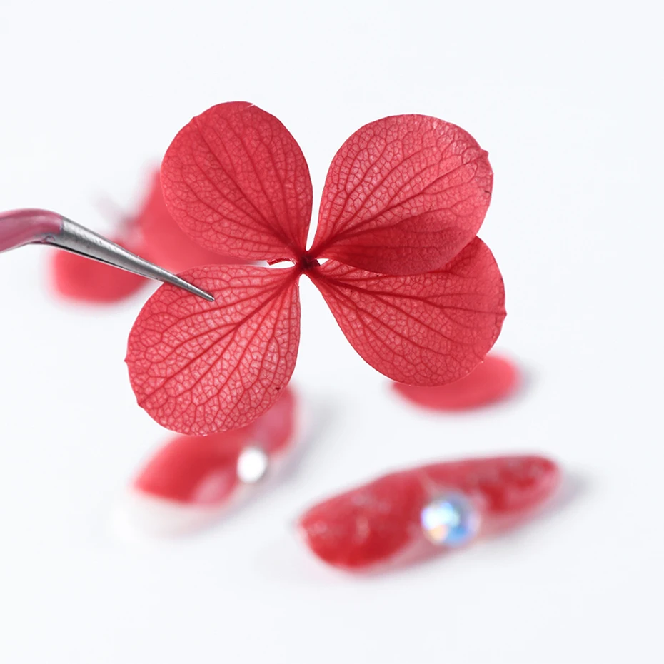 1 коробка, сушеные цветы, украшения для ногтей, натуральные Цветочные наклейки "Лепестки", очаровательные дизайны для ногтей, чешуйчатые наклейки, УФ-гель для ногтей, советы LY1500