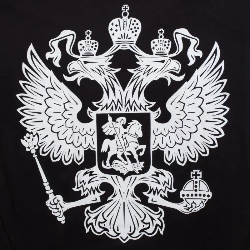 CK2725#34*39мм наклейки на авто 3D Герб России Никель Металл водонепроницаемые наклейки на машину наклейка для авто автонаклейка стикер этикеты наклейки стайлинга автомобилей - Название цвета: CS725  Silver