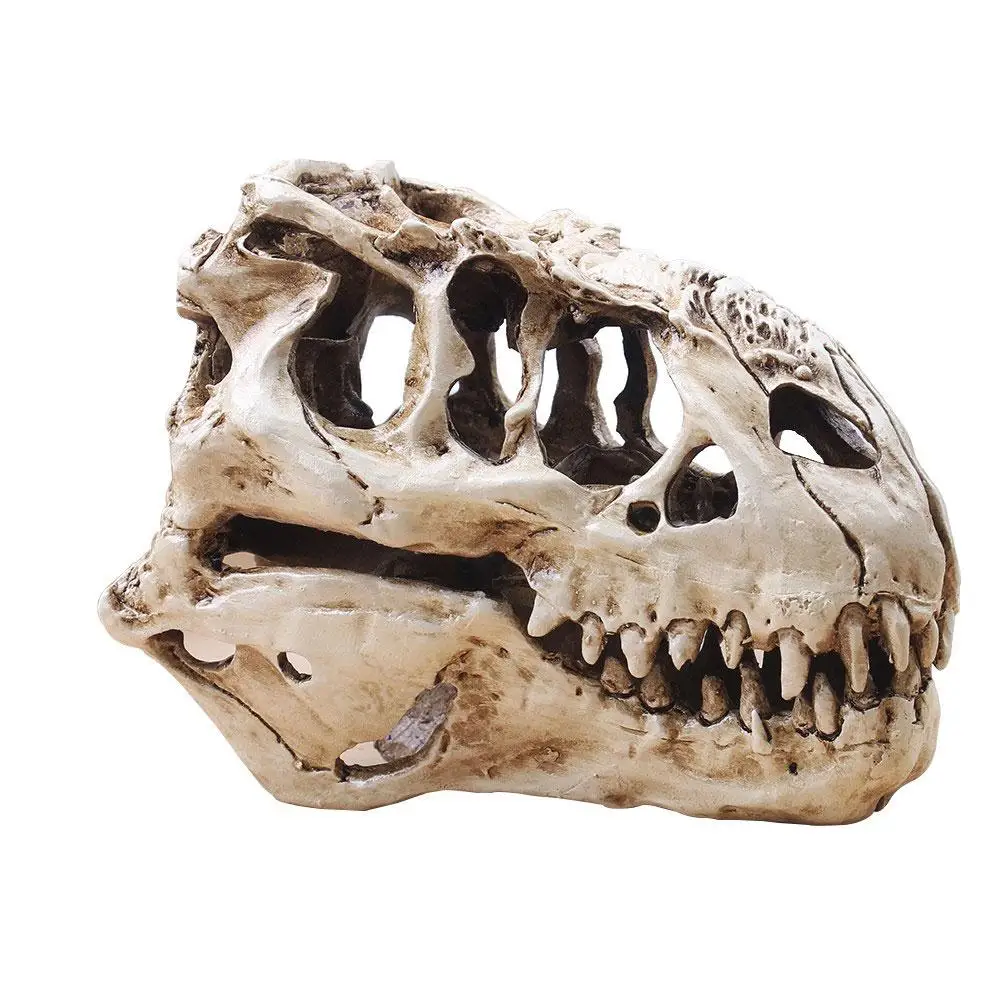 Смола динозавр уникальные коллекционные вещи T-Rex череп для домашнего декора ремесло аквариумное украшение для скелета копия аквариума