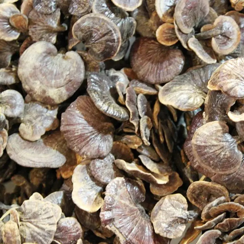 1000 г Сушеные Дикий Ganoderma Lucidum Линчжи Рейши Грибы Длинной Ножке Китайский