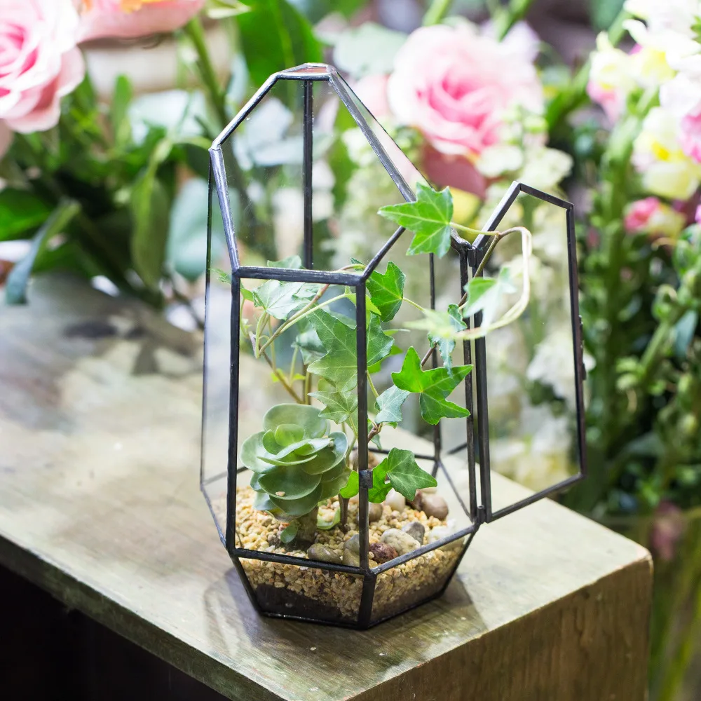 Ogród NCYP Nieregularna szklana doniczka Kryty stołowy Geometryczne terrarium Pojemnik na sukulenty Sadzarka ogrodowa z doniczką drzwi