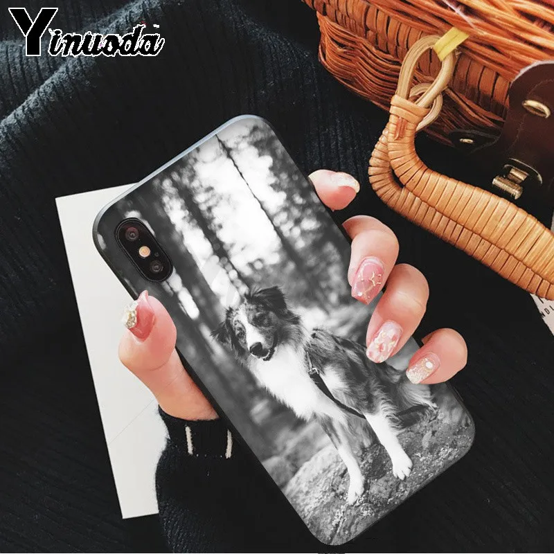 Yinuoda милый Border collie Dog Новый чехол для телефона Fundas Apple iPhone 8 7 6 6S Plus X XS MAX 5 5S SE XR