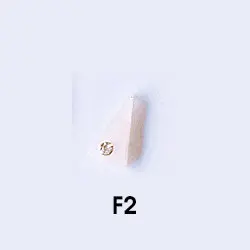 F2 20 шт./лот 3D алмаз Янтарный ногтей украшения японский trend Стиль Ногти горный хрусталь аксессуары верхнего уровня Маникюр подвески - Цвет: F2