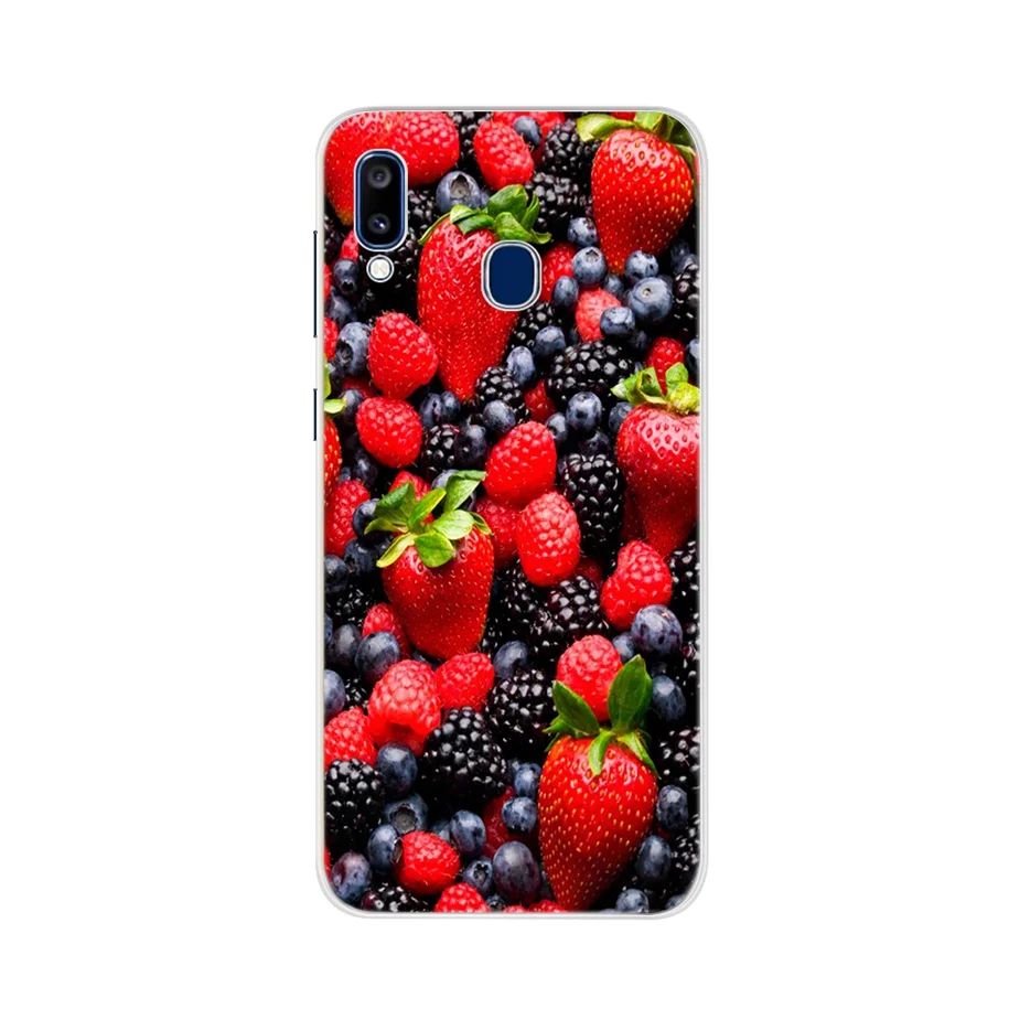 Чехол для Samsung Galaxy A20, Силиконовый ТПУ защитный чехол для телефона, чехол для Samsung A20e A20 A205F A205 A 20 e SM-A205F, бампер