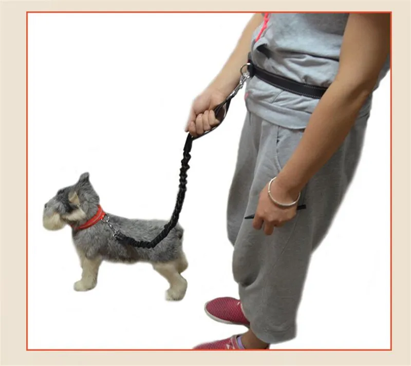 E35 поводок для собак утренней пробежки | Дом и сад