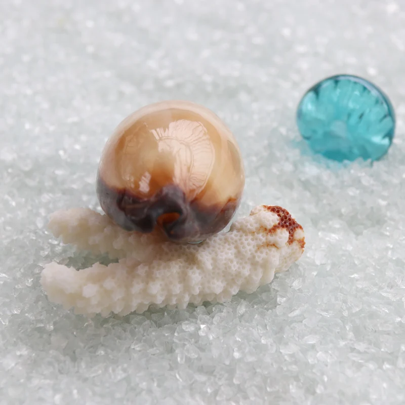 2 шт./партия) винный бочонок Cowrie натуральный корпус и раковины украшения дома аквариум Ландшафтные украшения с дизайном «ракушка»