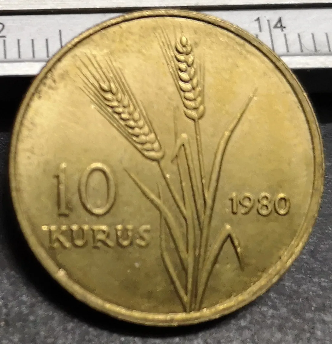1980 Турция 10 Kurus FAO Золотая копия монета|Безвалютные монеты| |