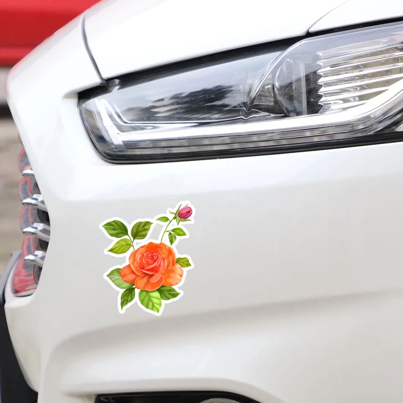 

YJZT 11,6*14,1 11A0825