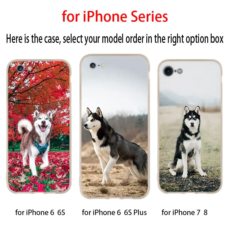 Самоед мягкий чехол для iPhone 12 11 Pro X XS Max XR 8 7 6 Plus 5s SE 2020 S 1 мини Чехол|Бамперы| |