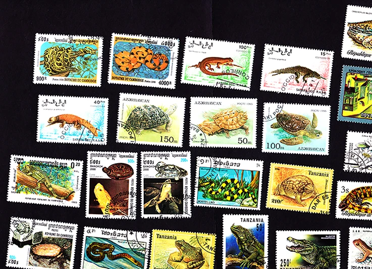 20 шт. почтовые штампы для амфибий змеи черепахи ящерицы|Штампики| |