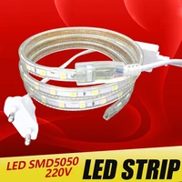 iluminacion led strip light smd 5050 aluminium profile ip68 christmas lights waterproofpower plug flexible neon outdoor 220v