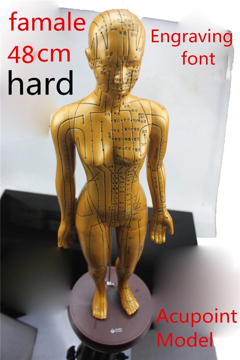 HD clear Electroplate Pure copper human body meridian acupuncture points hard model bronze acupuncture acupoints model famale