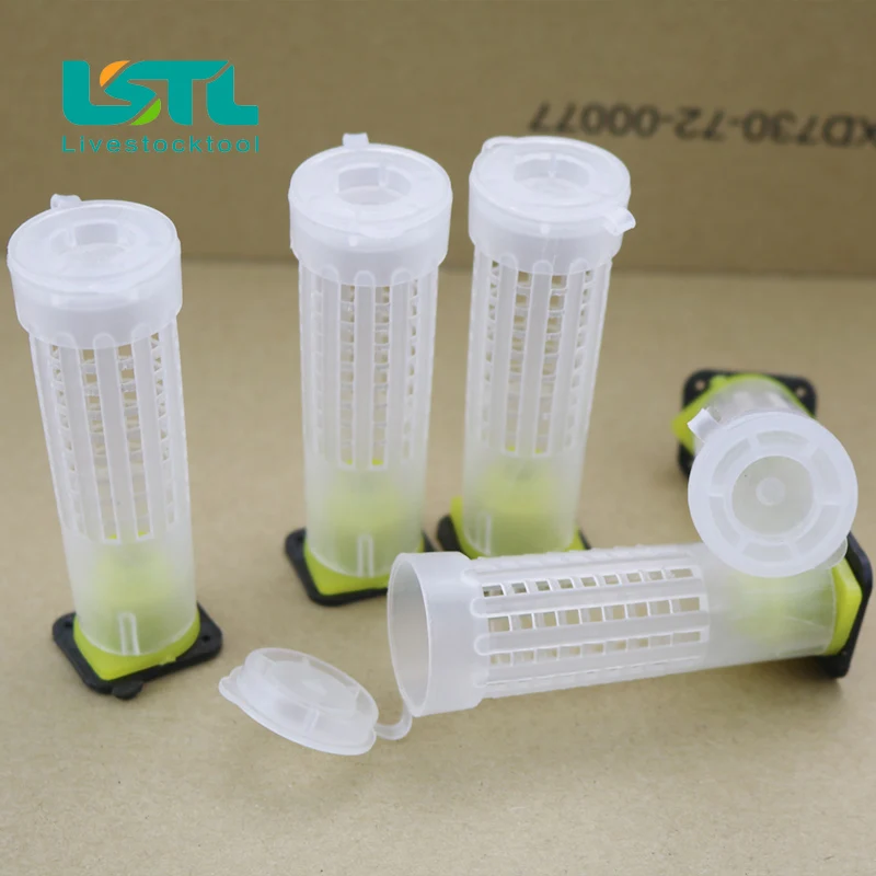 Бесплатная доставка 100 шт. набор стаканов для вывода ячеек пчеловодства клетки