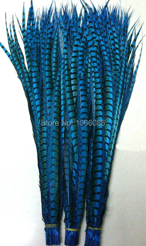 

EMS Free Shipping 80-90cm 30-35 inches 50pcs Turquoise Blue ringneck Lady Amherst pheasant tails pheasant feather