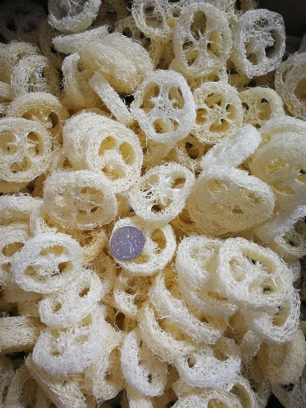 

Мелкий диаметр 50 шт./лот натуральные сухие лофты люфы лофы, ручная работа DIY настроить фотоинструменты, очиститель, губчатый скруббер