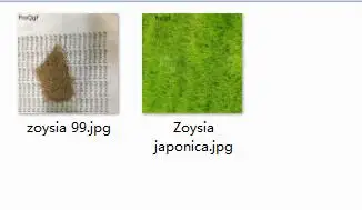 Zoysia japonica 50000 шт набор zoyasia japonica - Цвет: Zoysia japonica