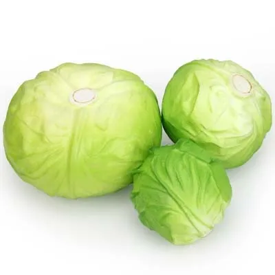 Имитация искусственной капусты Миниатюрные модели бесплатная доставка | Дом и