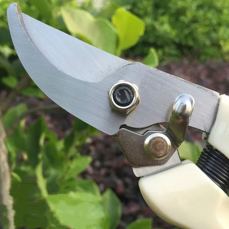 Бутик ножницы для цветов обрезки садовые плотные инструменты фруктовых