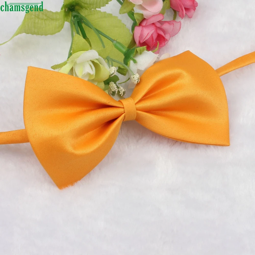 Подарки CHAMSGEND, милая собака, щенок, кошка, котенок, игрушка для питомца, Детский галстук-бабочка, галстук, одежда для ежедневного использования, вечеринки и свадьбы, подарок для питомца