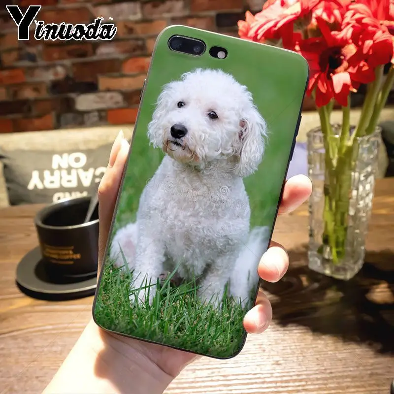 1 Yinuoda животное Bichon frise собака восхитительный цветной рисунок чехол для телефона Apple iPhone 8 7 6 6S Plus X 5s 11pro SE 5C Чехол - Цвет: 1