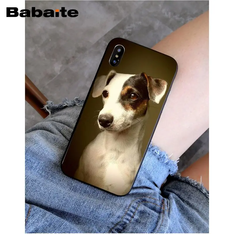 Babaite I love Jack Russell Terrier pop dog невероятный чехол для телефона для iphone 5 5s 5c SE и 6 6s 7 7plus 8 8plus чехол для телефона