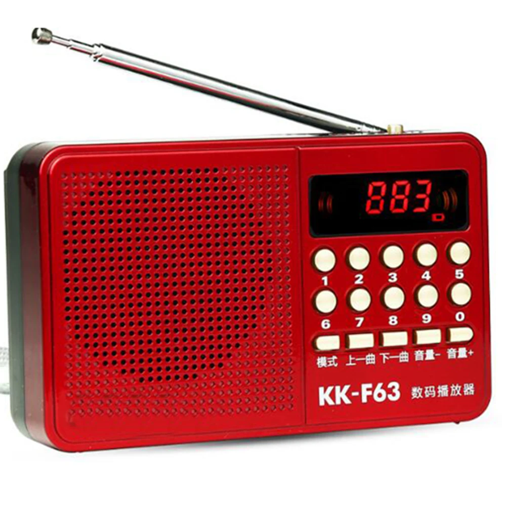 REDAMIGO мини fm радио динамик музыкальный плеер цифровое FM Micro SD/TF USB диск Mp3 ЖК дисплей