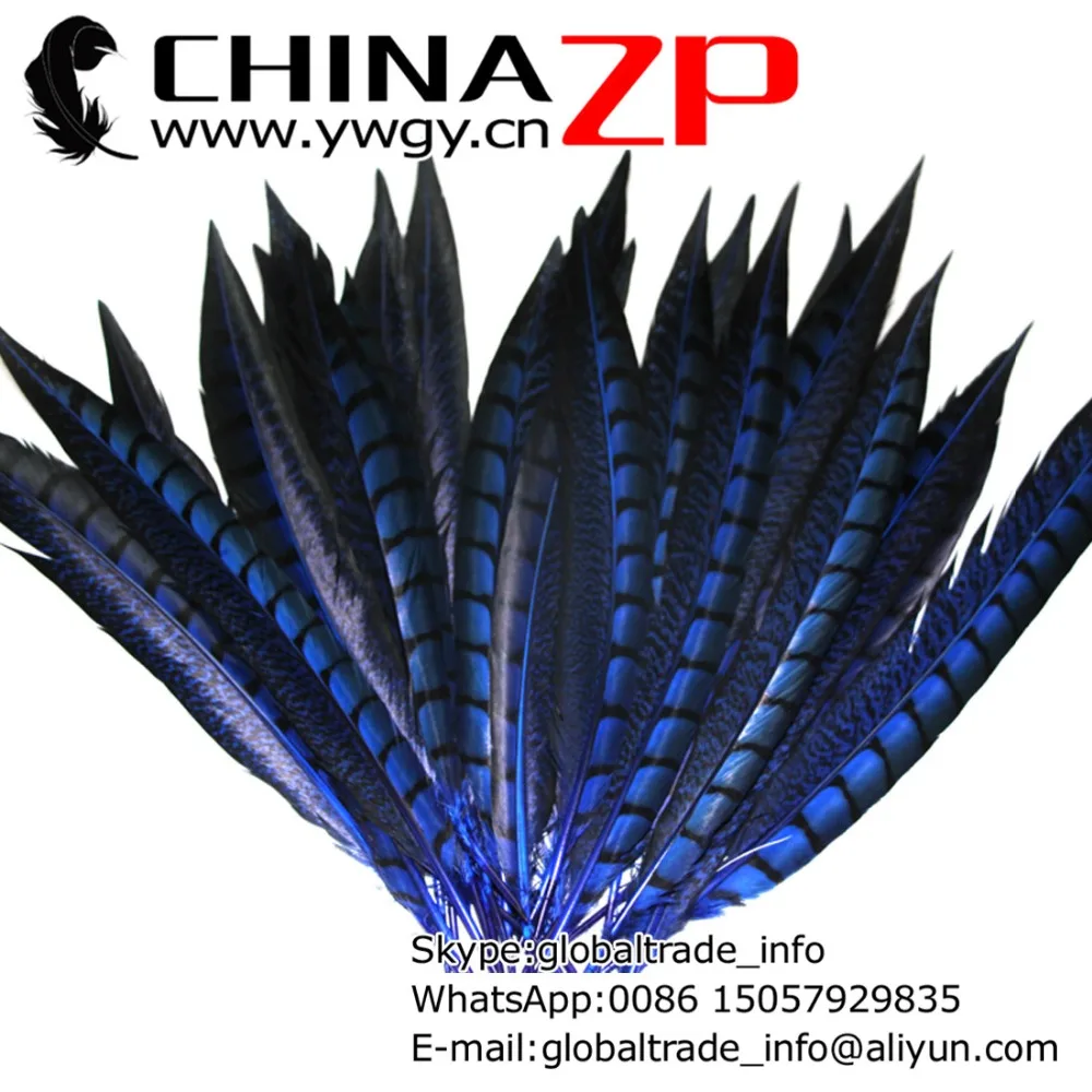 

CHINAZP Factory 100pcs/lot Size from 12 inch to 14inch(30-35cm) Dyed Royal Blue Lady Amherst Pheasant Feathers