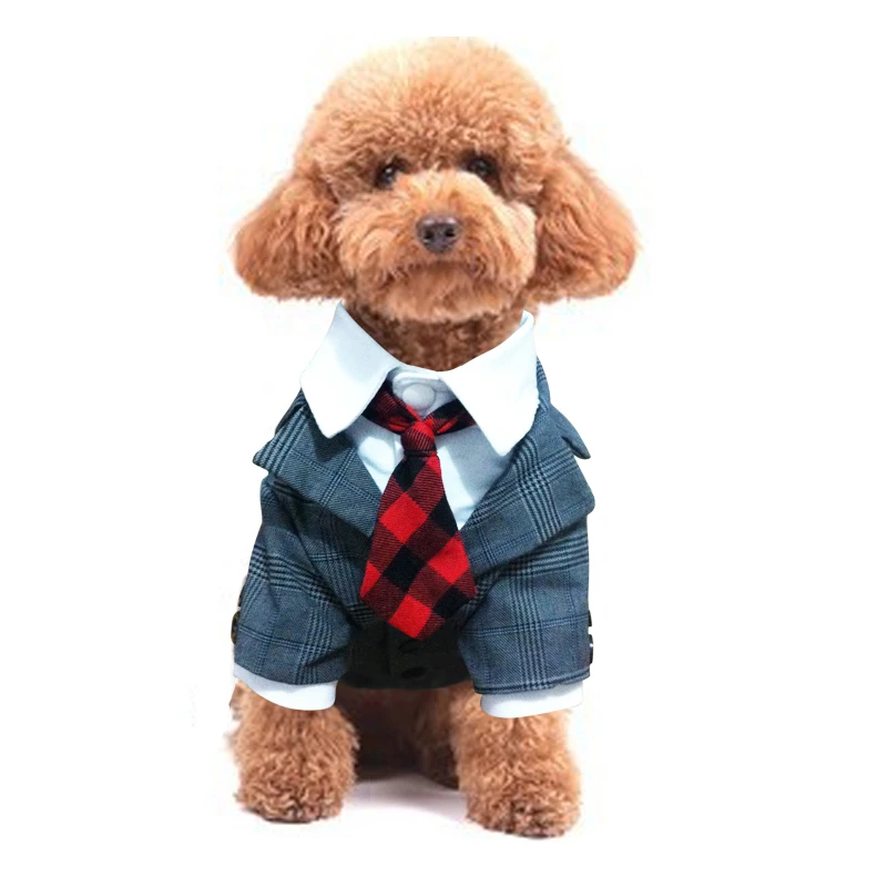 Новое поступление плед Стиль Pet Товары для собак костюм пальто маленький щенок