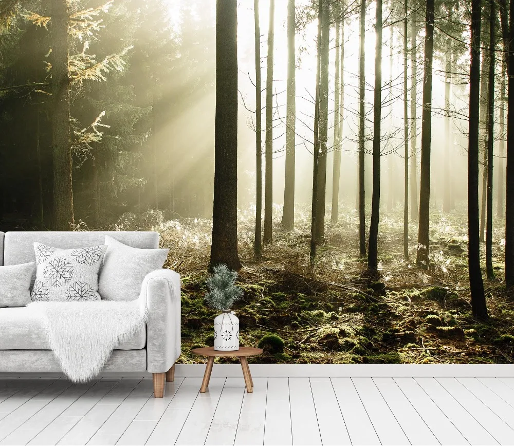 

[Self-Adhesive] 3D Sunshine Woodland 22 Wall Paper mural Wall Print Decal Wall Murals