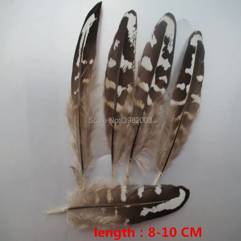 Разнообразие птиц перья! 20 шт./упак. Качество натуральные перья фазана, сделай сам, костюм ремесла украшения