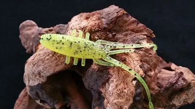 BassLegend 8 шт. мягкие пластиковые приманки для рыбалки приманка ловли рыбы форель