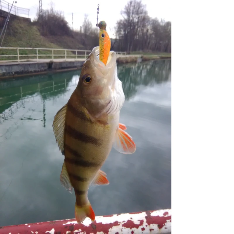 Приманка для мягкий шэд ESFISHING вибро-Шад 62 мм 2 8 г 10 шт. силиконовая наживка глаз |