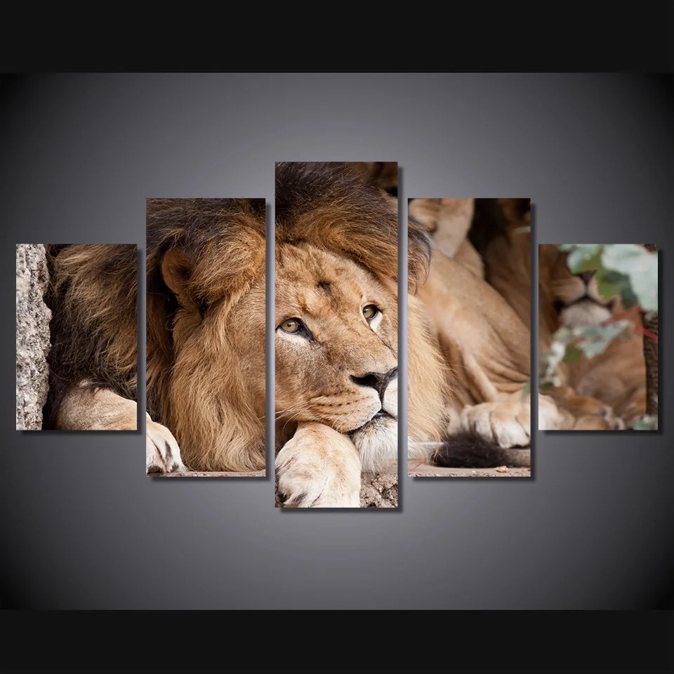 

Unframed Lev Koshka Morda Griva Vzglyad Wall Pictures For Living Room Home Decor Wall Art Canvas Painting 5 Pcs Modular Pictures