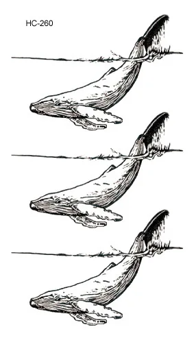 Черные Водонепроницаемые тату палочки для мужчин и женщин стойкие пары консилер